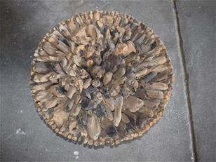 Diablo Driftwood Coffee Table