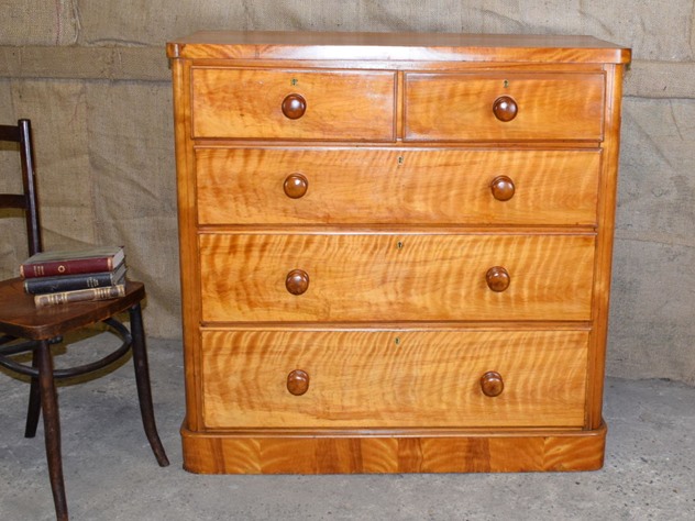 Satin Birch Chest of Drawers